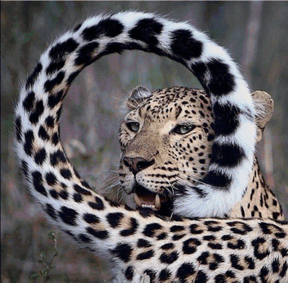 оглянулся посмотреть - животные, кошка, леопард - предпросмотр