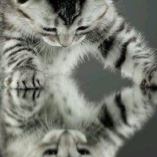 Схема вышивки «КОШКА»