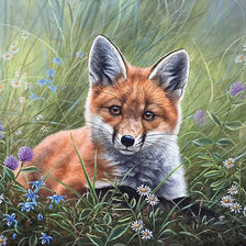 Схема вышивки «№1577104»