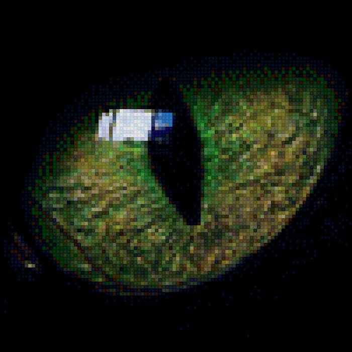 кошачий взгляд - кошки - предпросмотр