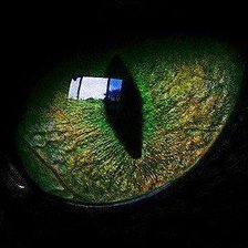 Схема вышивки «кошачий взгляд»