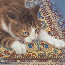 Схема вышивки «Кот»