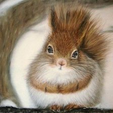 Схема вышивки «Белочка»