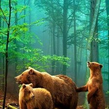 Схема вышивки «Rosa mari ap»