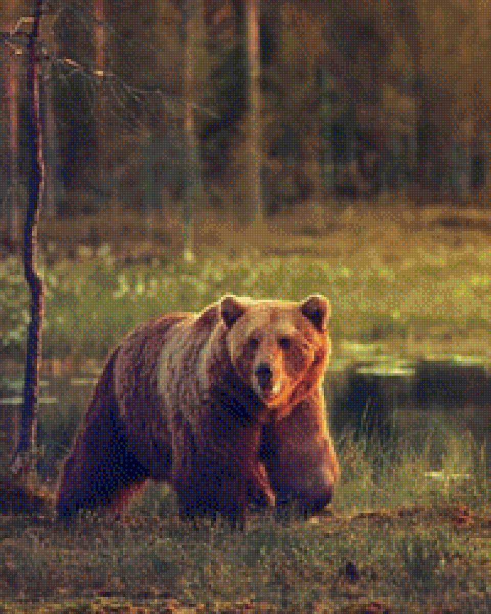 Rosa mari ap - fuerza - предпросмотр