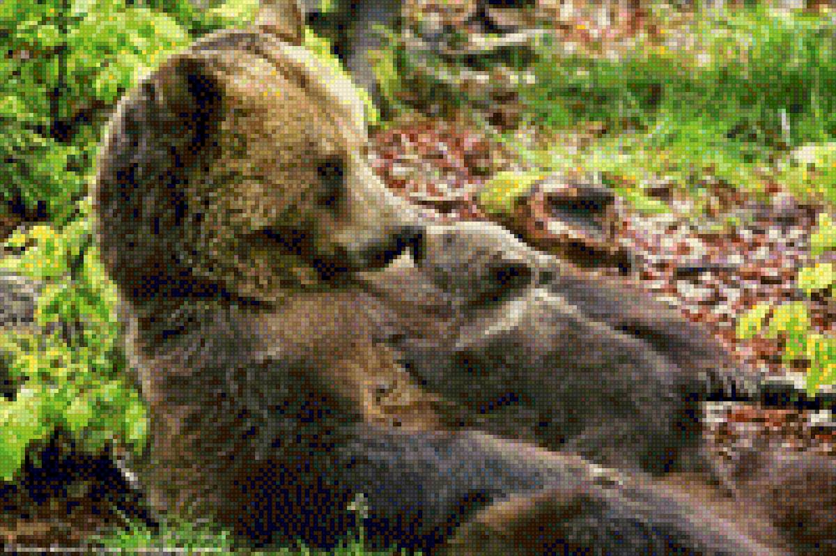 Rosa mari ap - familia - предпросмотр