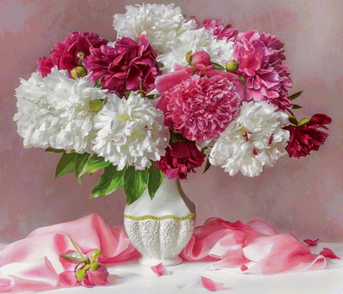 pivonie - предпросмотр