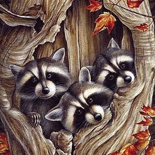 Схема вышивки «енотики»