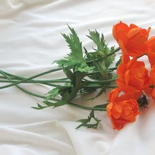 Схема вышивки «огоньки сибирские»