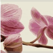 Схема вышивки «ветка орхидеи»