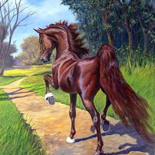 Схема вышивки «Лошадь»