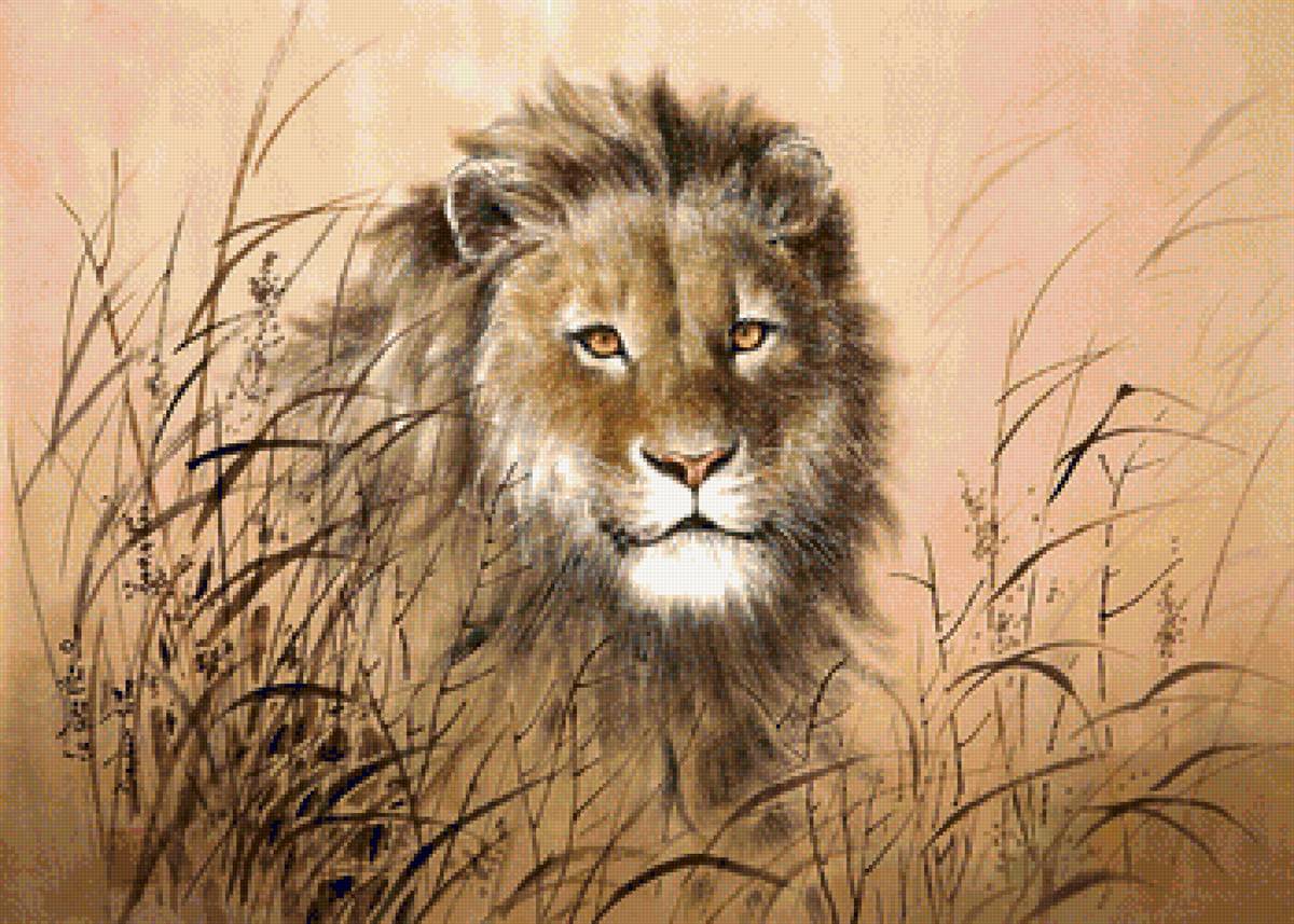 Лев - животные - предпросмотр