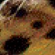 Предпросмотр схемы вышивки «Леопард» (№1579716)