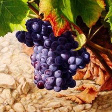 Схема вышивки «№1579844»