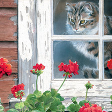 Схема вышивки «Кот»