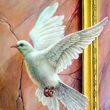 Схема вышивки «Голубь»