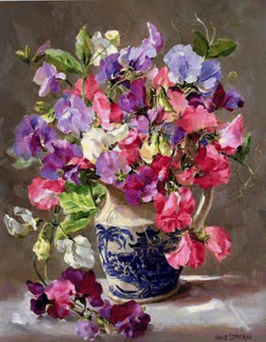 ДУШИСТЫЙ ГОРОШЕК - душистый горошек - предпросмотр