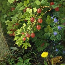 Схема вышивки «№1580418»