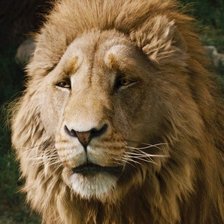 Схема вышивки «Лева2»