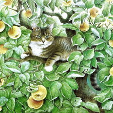 Схема вышивки «Кот»