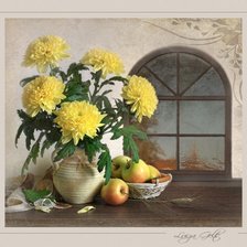 ХРИЗАНТЕМЫ