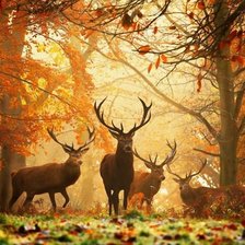 Схема вышивки «deers»