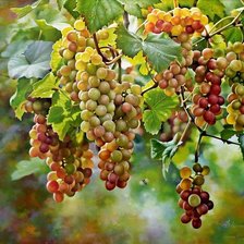 Схема вышивки «№1581005»