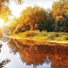 Схема вышивки «jesień złota»