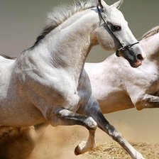 Схема вышивки «свобода»