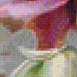 Предпросмотр схемы вышивки «bukiet» (№1581765)