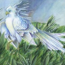 Схема вышивки «Птица»