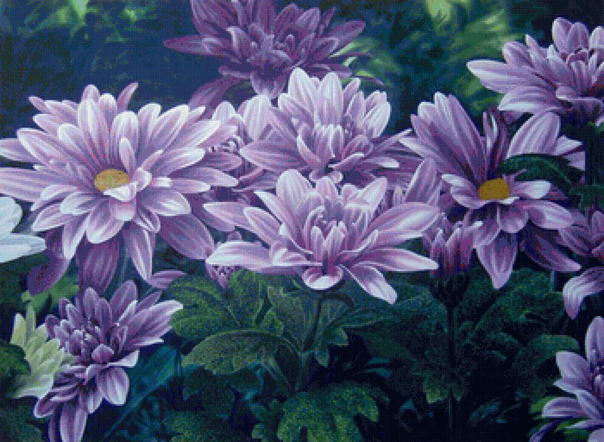 №1582651 - предпросмотр