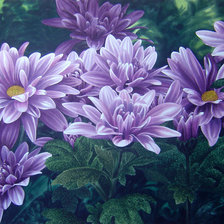 Схема вышивки «№1582651»