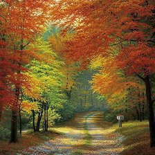 Схема вышивки «Природа»