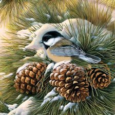 Схема вышивки «№1582876»