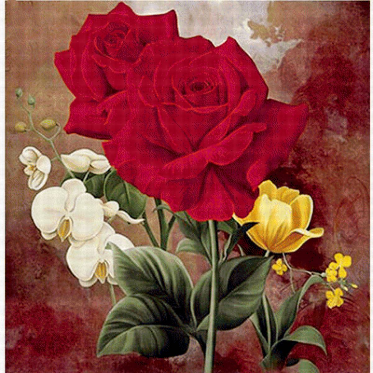 Букет цветов - орхидеи, цветы, розы - предпросмотр