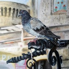 Схема вышивки «Голубь»