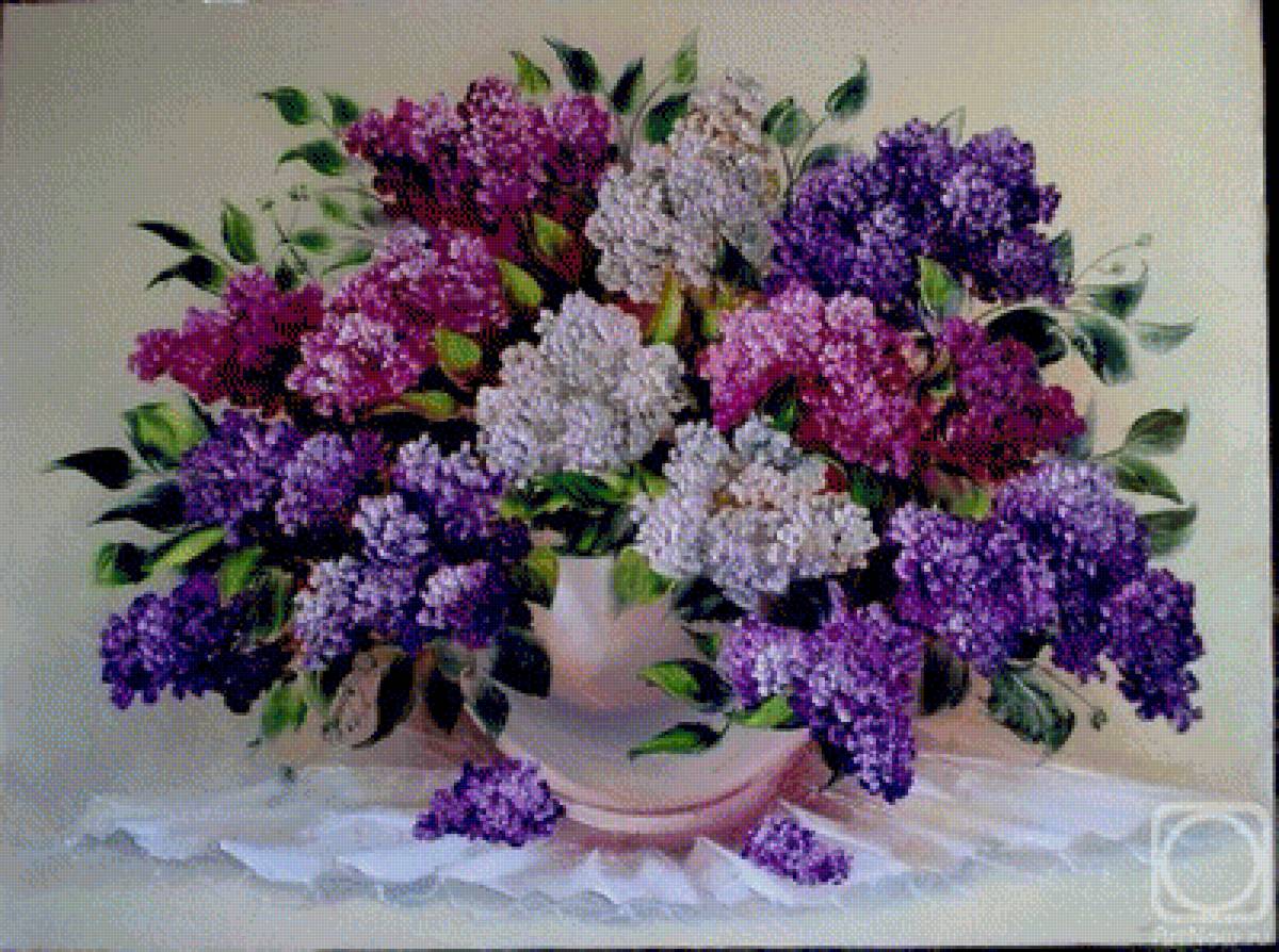 bez - предпросмотр