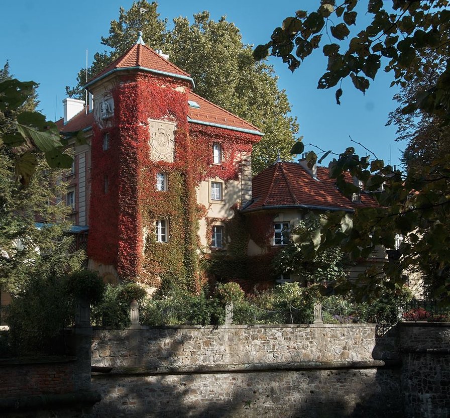 Zamek w Łańcucie - оригинал