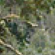 Предпросмотр схемы вышивки «forrest» (№1584058)