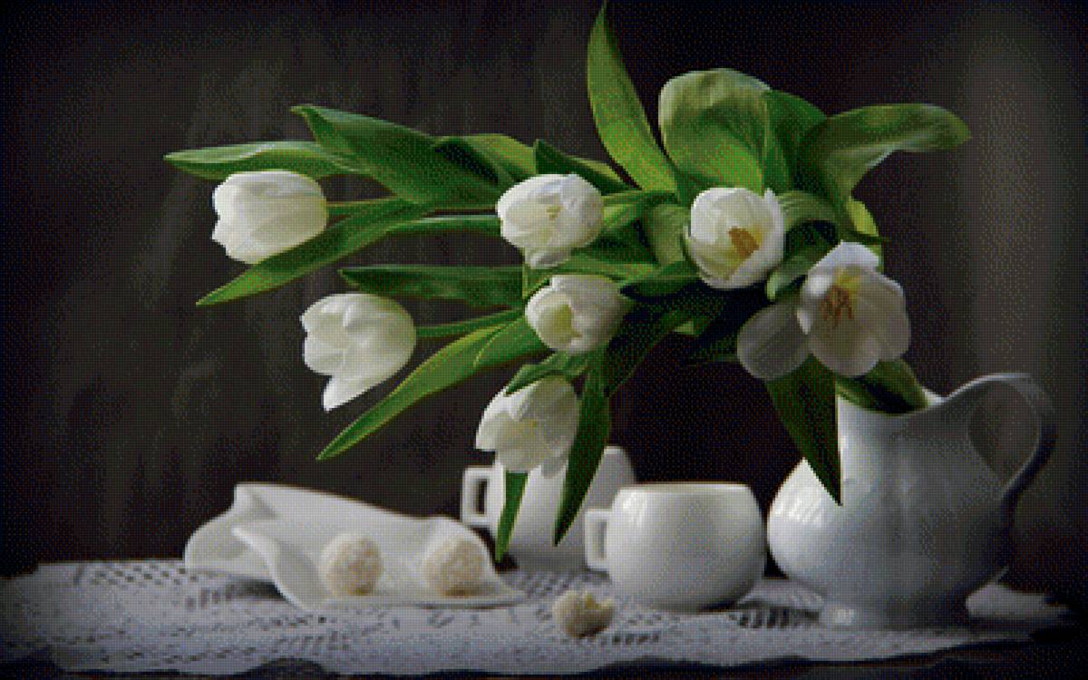 Тюльраны - предпросмотр