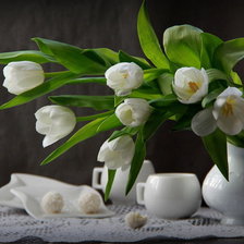 Схема вышивки «Тюльраны»