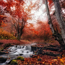 Схема вышивки «осенний пейзаж»