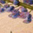 Предпросмотр схемы вышивки «kvety» (№1584302)