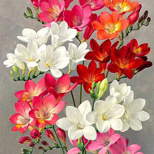 Схема вышивки «№1584343»