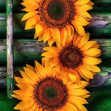 Схема вышивки «№1584349»