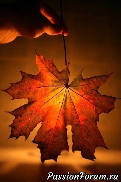 красота - лист - оригинал