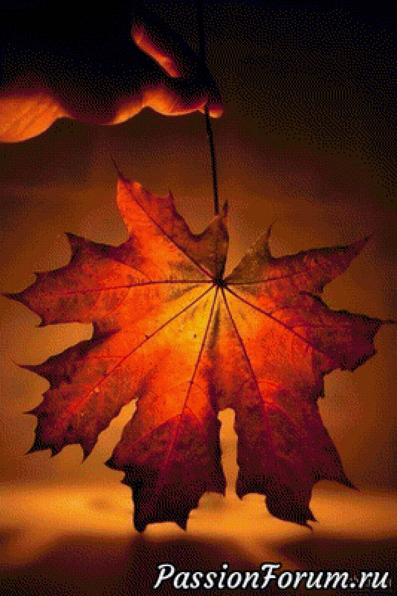 красота - лист - предпросмотр