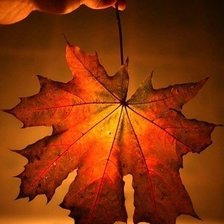 Схема вышивки «красота»