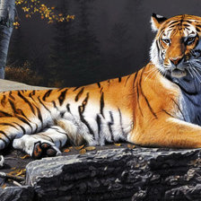 Схема вышивки «Тигр»